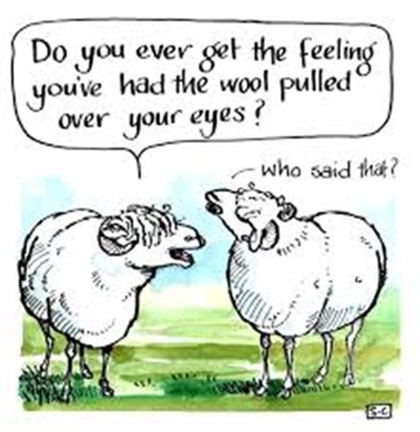 sheep Chapel Hill Solar Farm