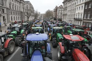 Farmers protest at Westminster